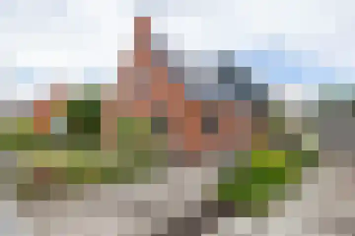 Colpende 4 B in Middelstum