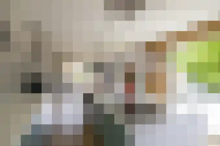 Colpende 4 B Middelstum thumbnail 16