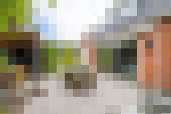 Colpende 4 B Middelstum thumbnail 48