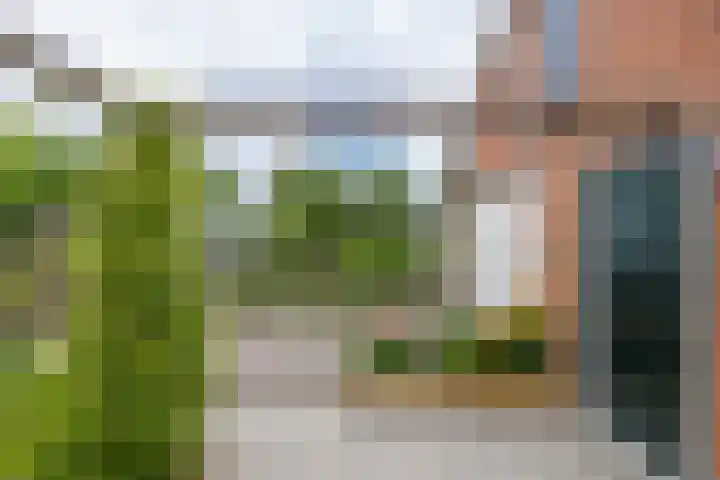 Colpende 4 B Middelstum thumbnail 52