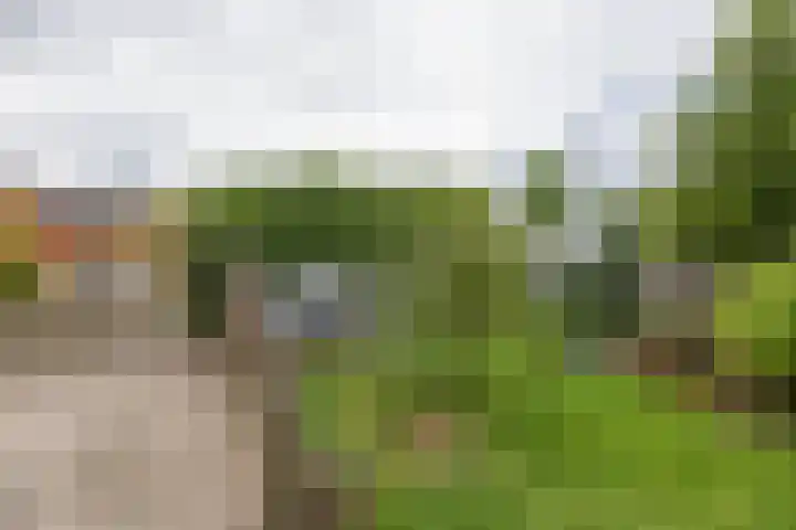 Colpende 4 B Middelstum thumbnail 53