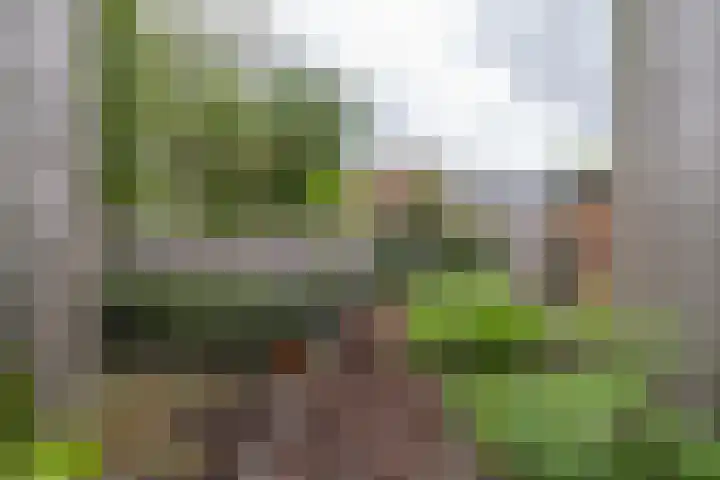 Colpende 4 B Middelstum thumbnail 55