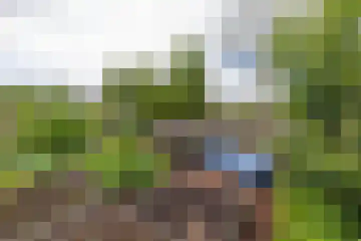 Colpende 4 B Middelstum thumbnail 57