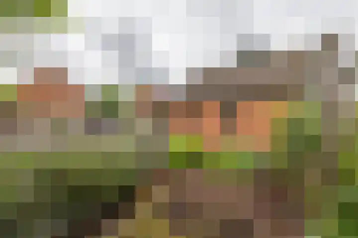 Colpende 4 B Middelstum thumbnail 58