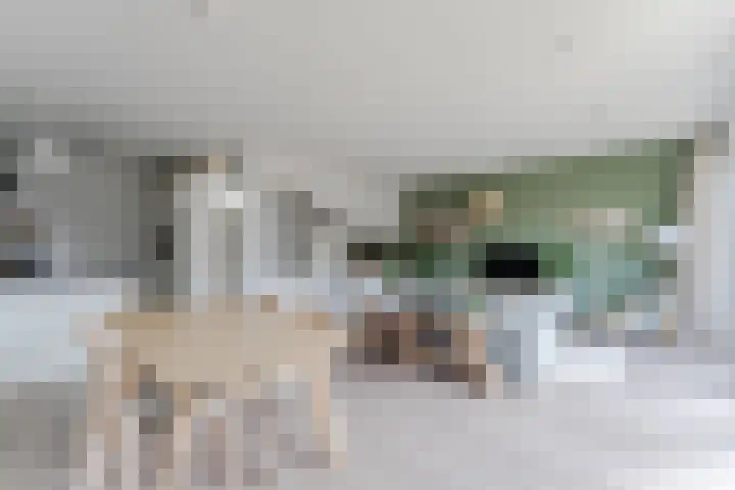 Coltbaan 21 21 Nieuwegein thumbnail 15