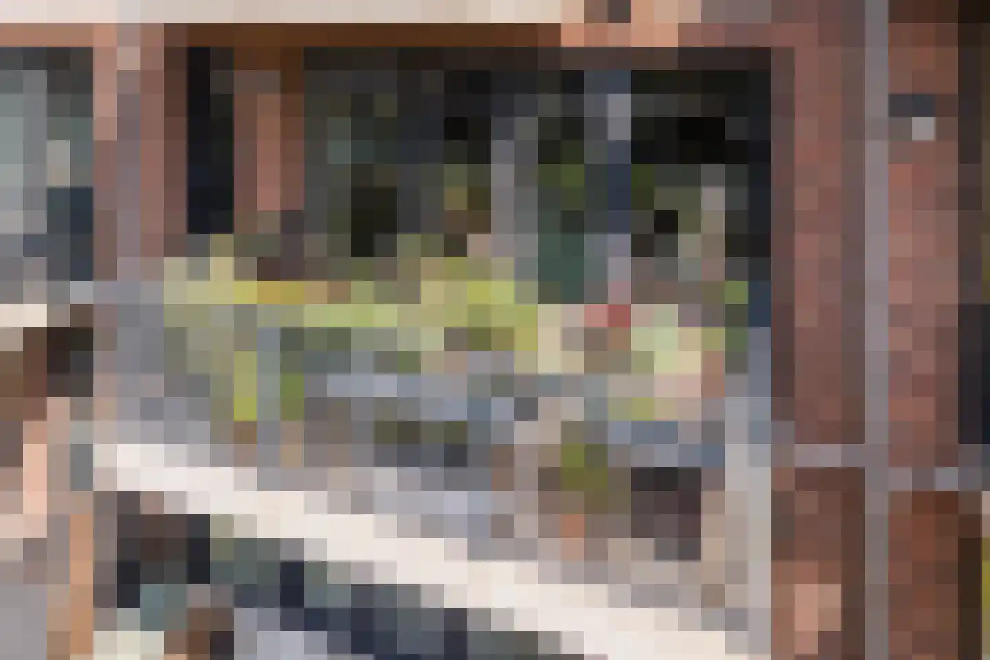 Coltbaan 21 21 Nieuwegein thumbnail 26