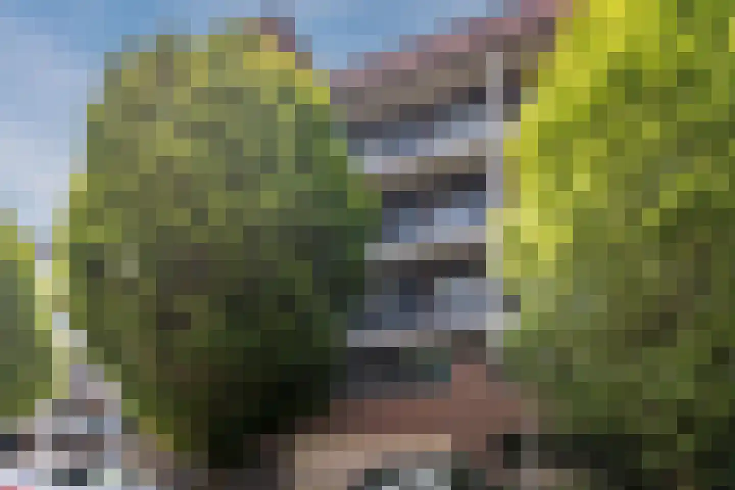 Coltbaan 21 21 Nieuwegein thumbnail 48