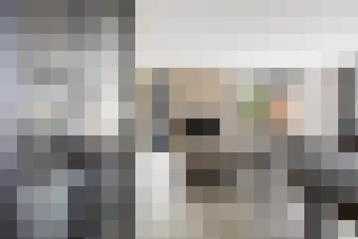 Coltbaan 21 31 Nieuwegein thumbnail 13