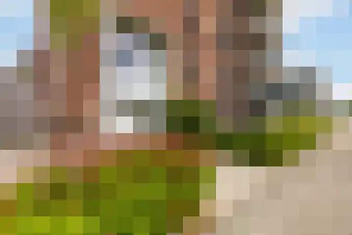 Coltbaan 21 31 Nieuwegein thumbnail 35