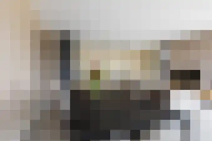 Coltbaan 21 31 Nieuwegein thumbnail 6