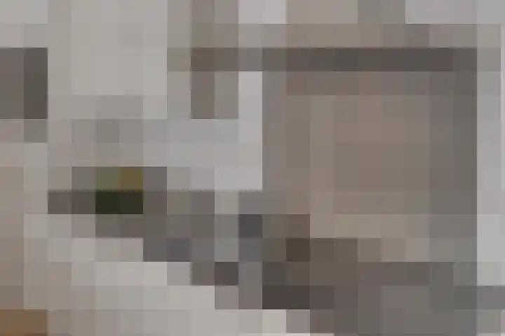 Coltbaan 21 34 Nieuwegein thumbnail 13