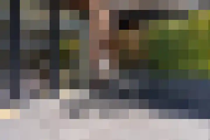 Coltbaan 21 34 Nieuwegein thumbnail 16