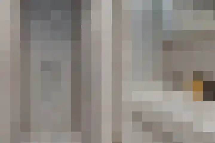 Coltbaan 21 34 Nieuwegein thumbnail 22