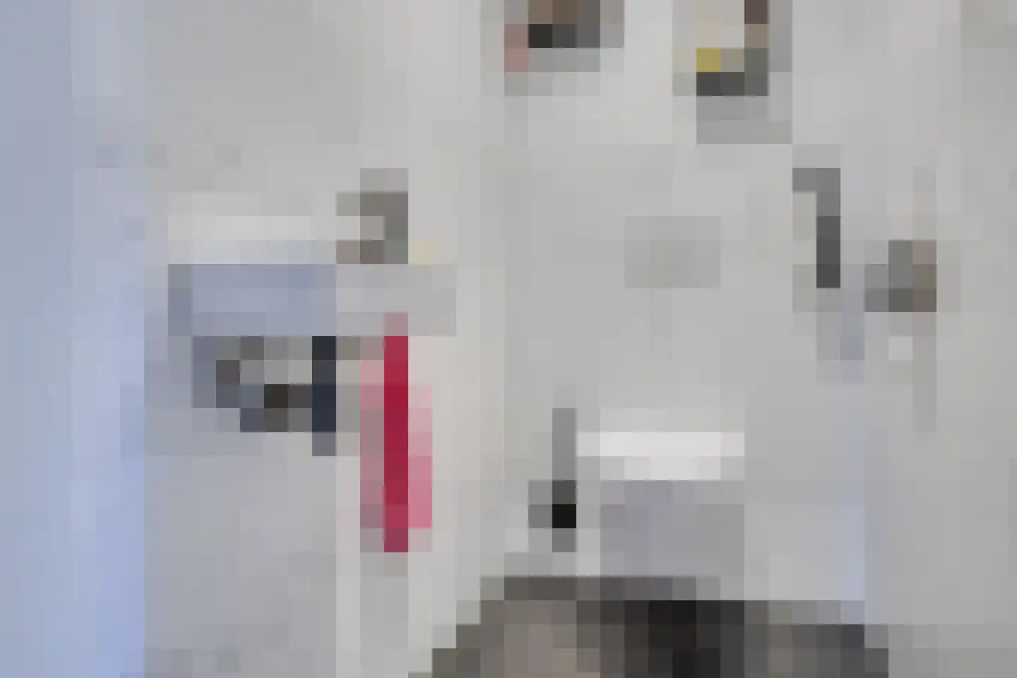 Coltbaan 21 38 Nieuwegein thumbnail 22