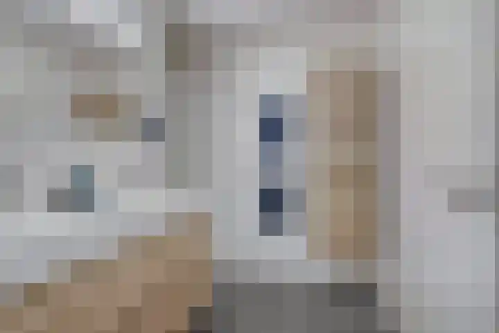 Coltbaan 21 50 Nieuwegein thumbnail 33