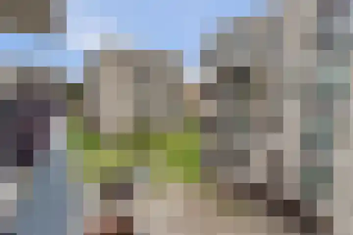 Coltbaan 21 50 Nieuwegein thumbnail 40