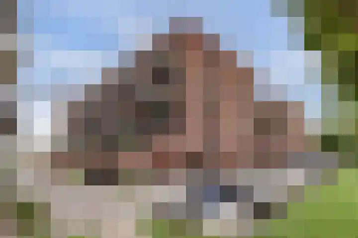 Coltbaan 21 50 Nieuwegein thumbnail 48
