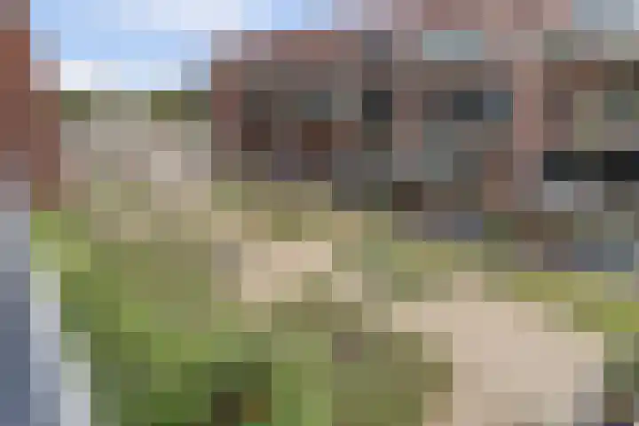 Coltbaan 21 50 Nieuwegein thumbnail 5