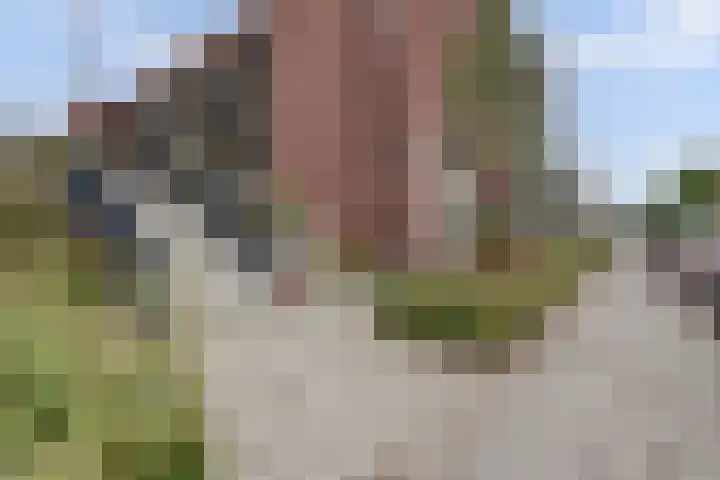 Coltbaan 21 50 Nieuwegein thumbnail 9