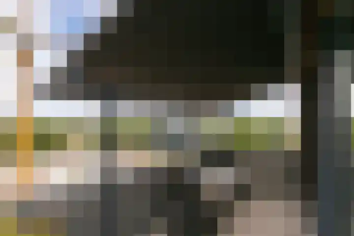 Coltbaan 21 52 Nieuwegein thumbnail 13