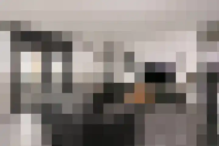 Coltbaan 21 52 Nieuwegein thumbnail 7