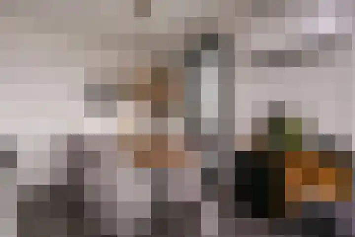 Coltbaan 21 52 Nieuwegein thumbnail 9