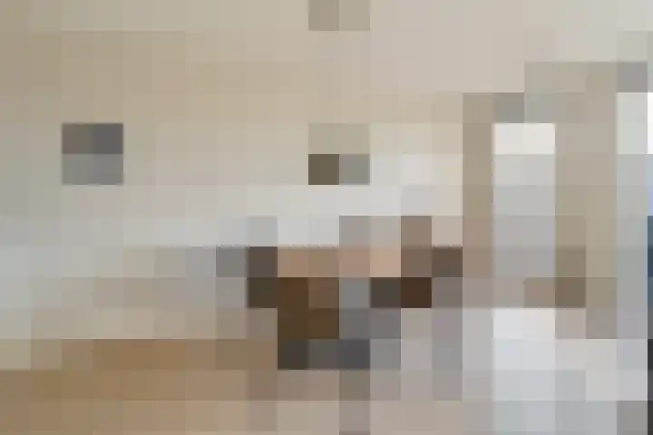 Coltbaan 21 54 Nieuwegein thumbnail 14
