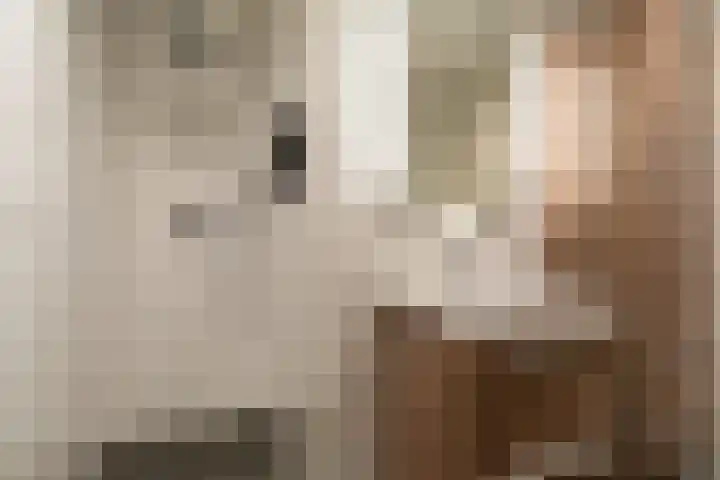 Coltbaan 21 54 Nieuwegein thumbnail 34