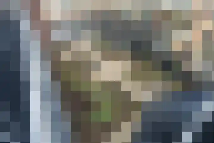 Coltbaan 21 54 Nieuwegein thumbnail 39
