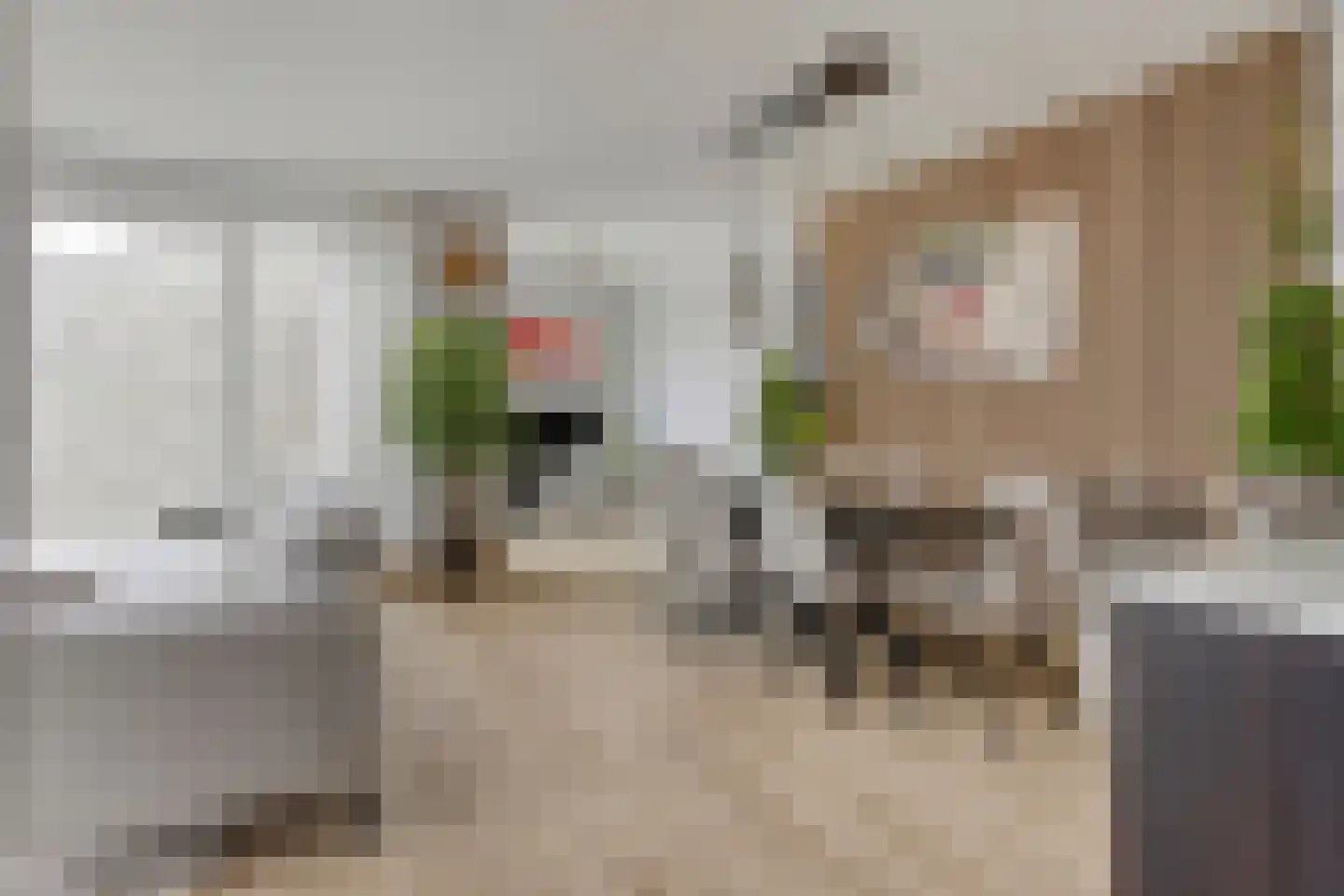 Coltbaan 23 2 Nieuwegein thumbnail 10