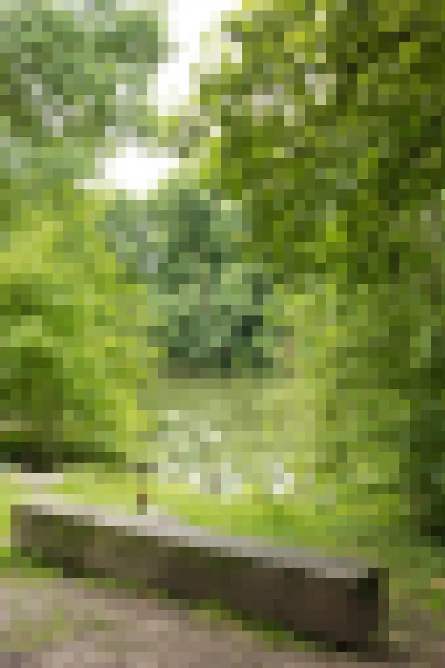 Coltbaan 23 2 Nieuwegein thumbnail 36
