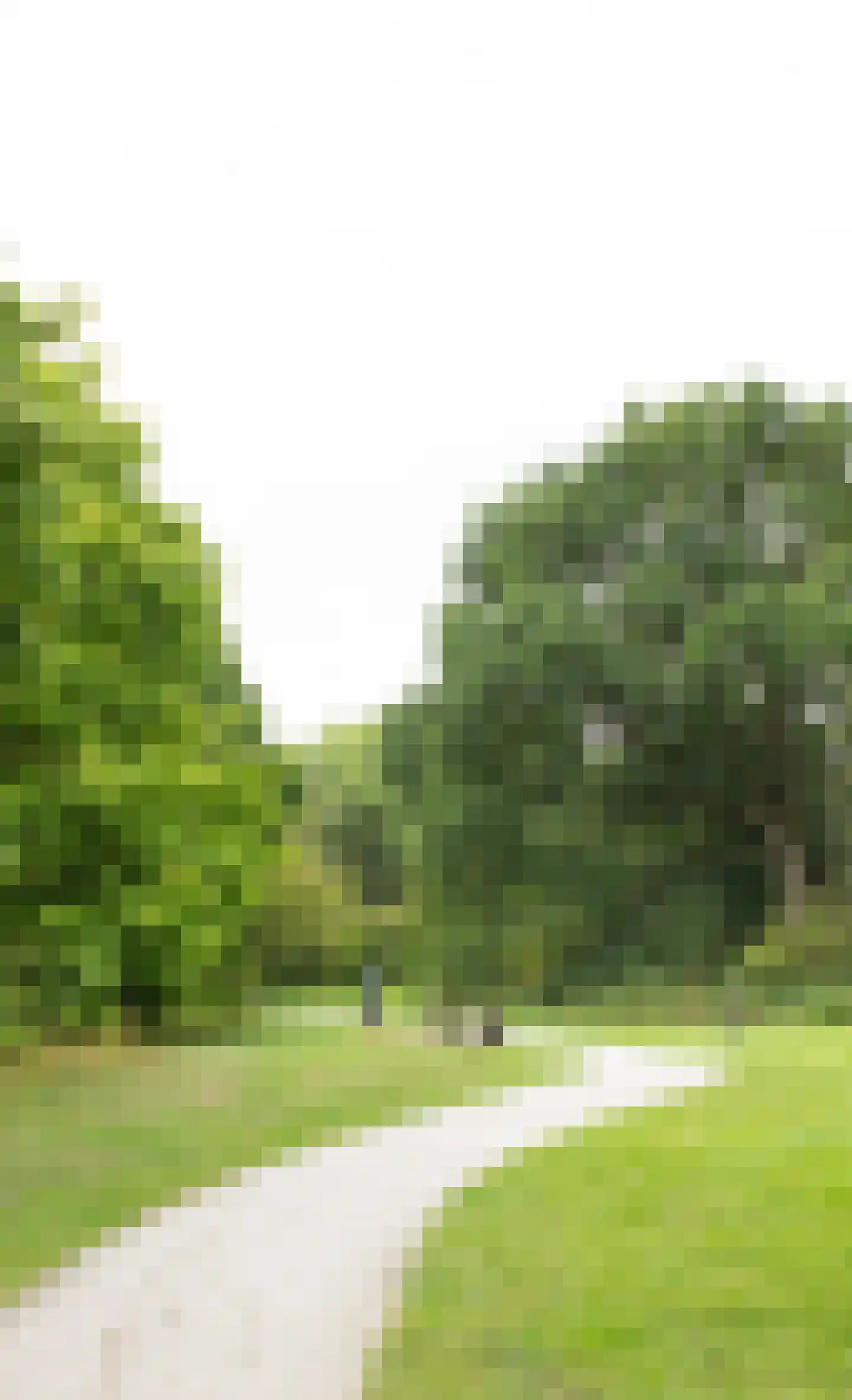 Coltbaan 23 2 Nieuwegein thumbnail 38
