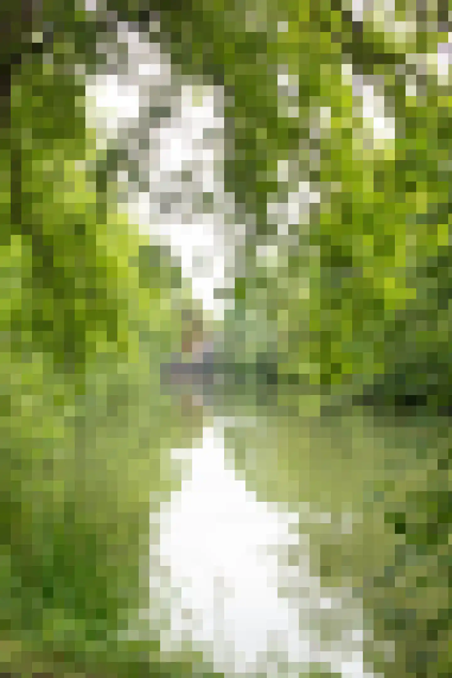 Coltbaan 23 2 Nieuwegein thumbnail 39