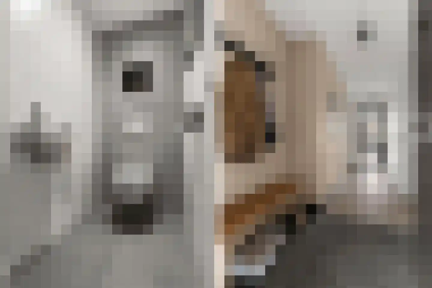 Coltbaan 23 27 Nieuwegein thumbnail 6