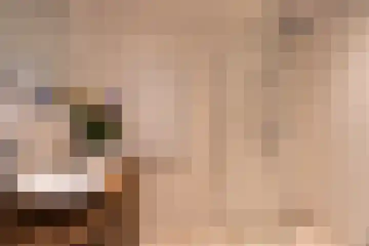 Coltbaan 23 3 Nieuwegein thumbnail 19