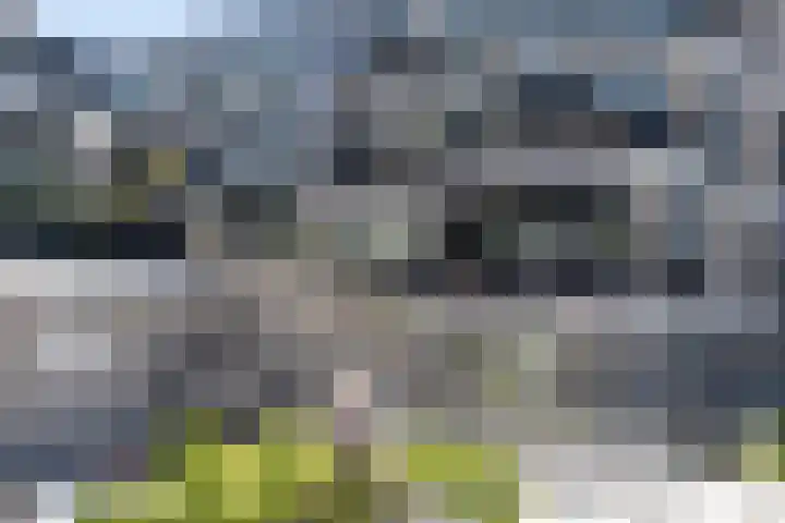 Coltbaan 23 3 Nieuwegein thumbnail 22