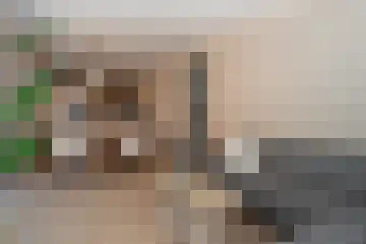 Coltbaan 23 3 Nieuwegein thumbnail 6
