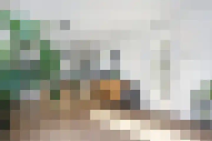 Coltbaan 23 33 Nieuwegein thumbnail 7