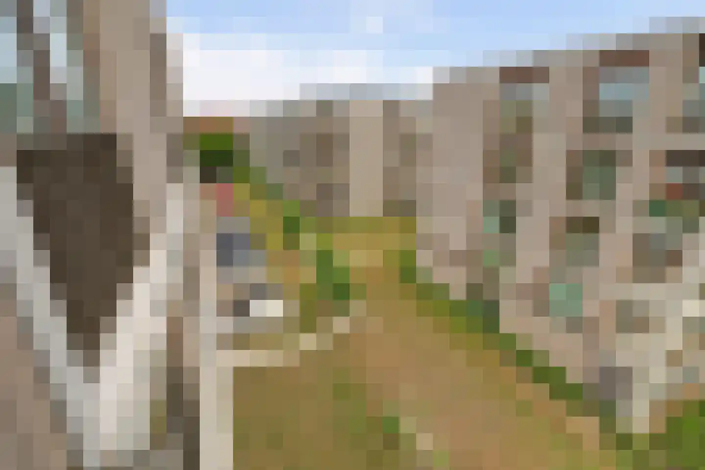 Coltbaan 23 51 Nieuwegein thumbnail 34