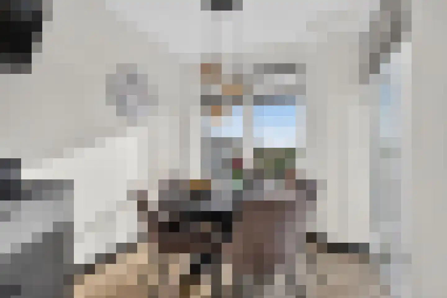 Coltbaan 23 53 Nieuwegein thumbnail 22