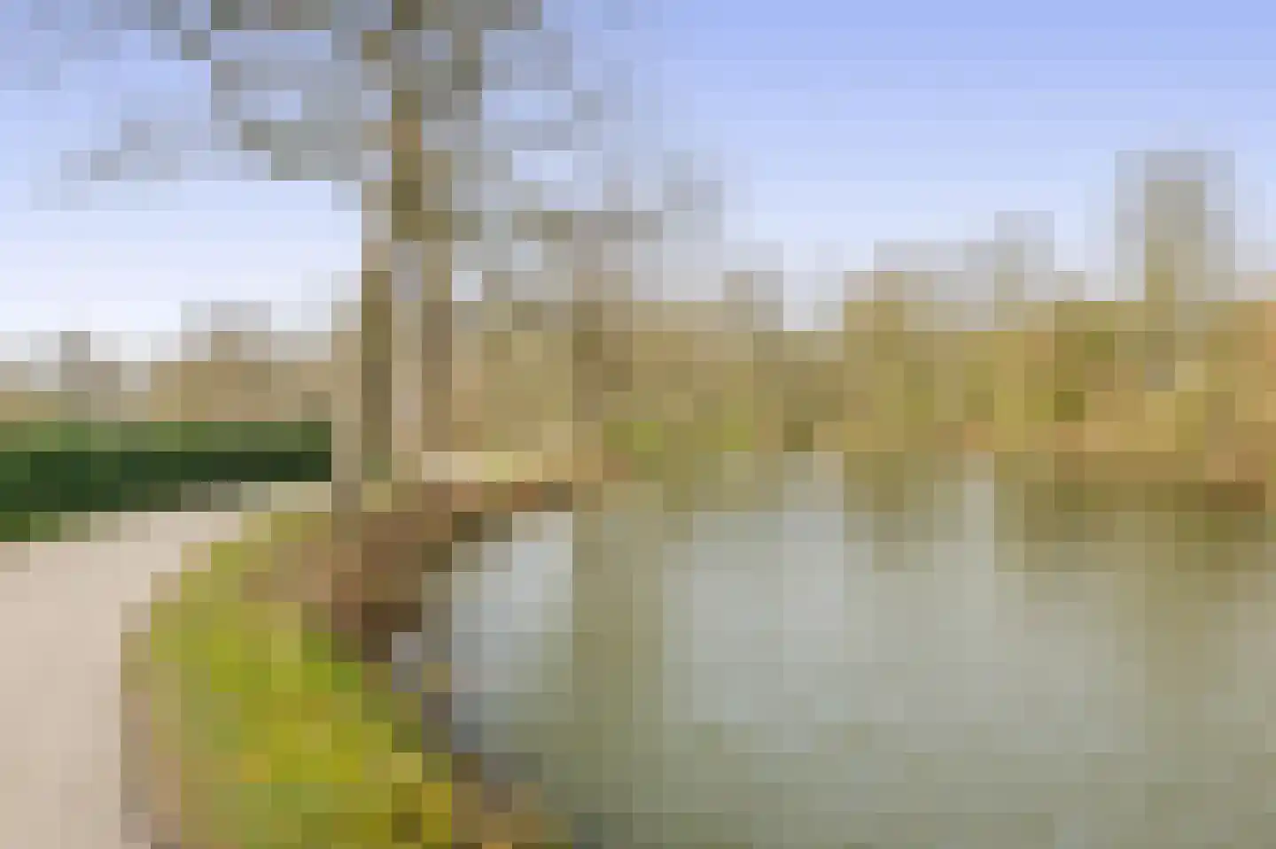 Coltbaan 23 7 Nieuwegein thumbnail 27