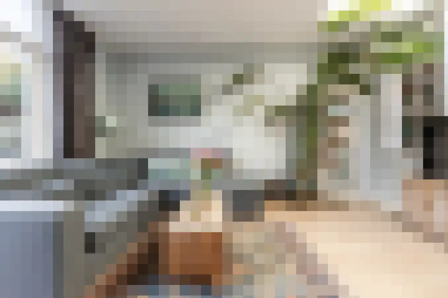 Coltermanstraat 10 ZW Haarlem thumbnail 5