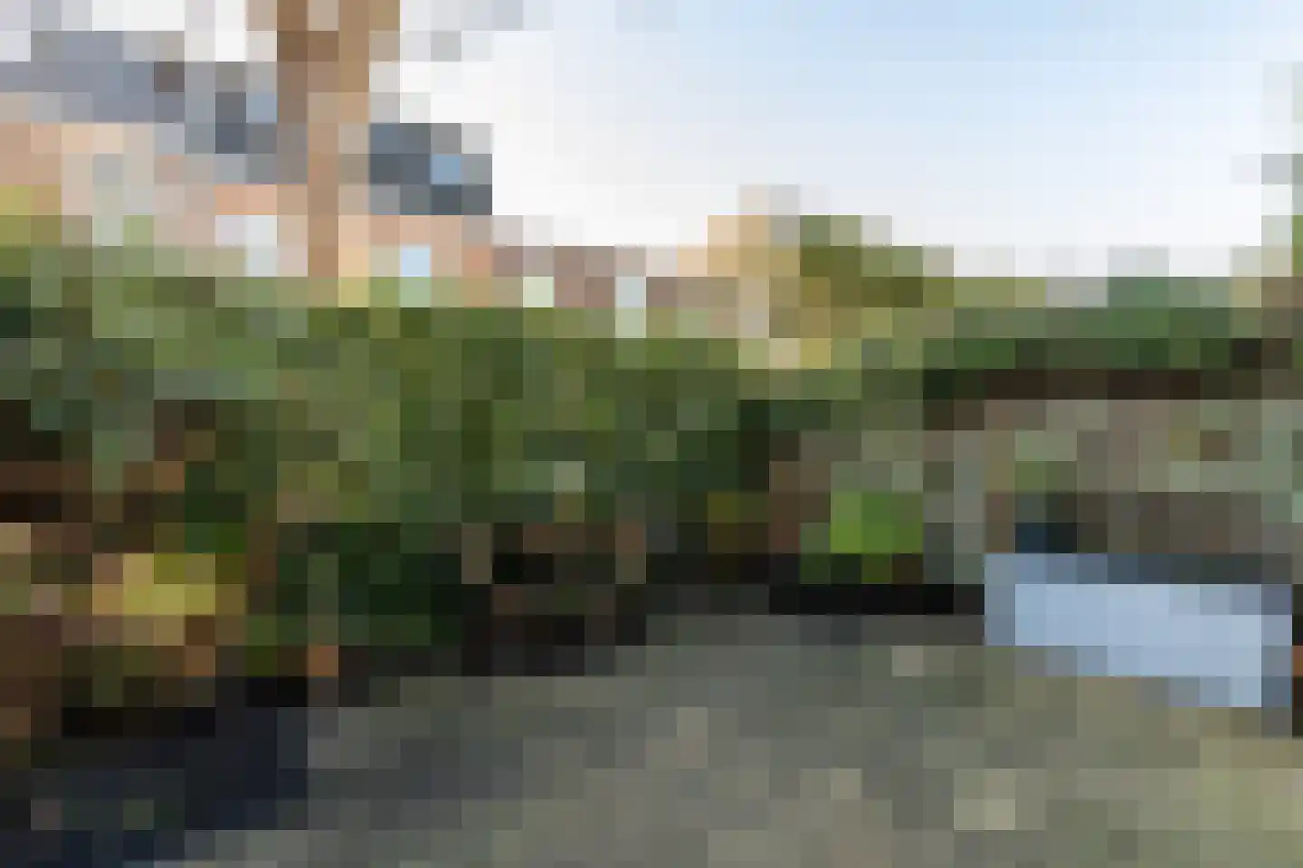 Coltermanstraat 10 ZW Haarlem thumbnail 9
