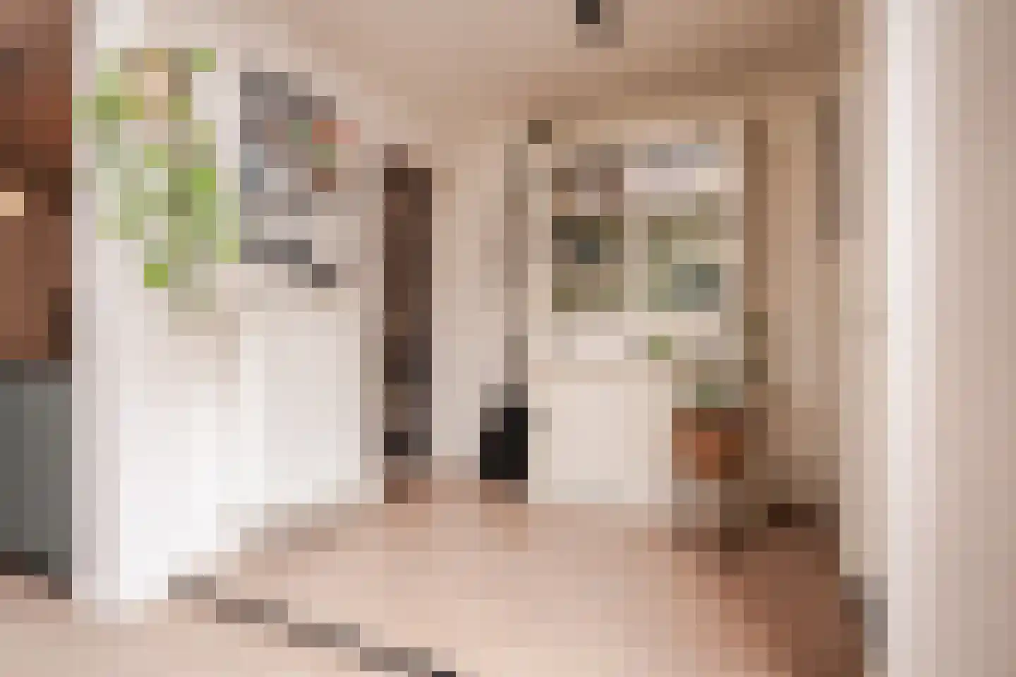 Coltermanstraat 7 ZW Haarlem thumbnail 19