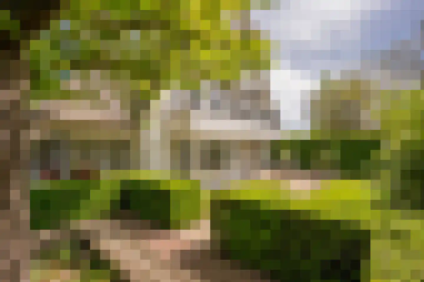 Coltoflaan 13 Nijkerk thumbnail 10