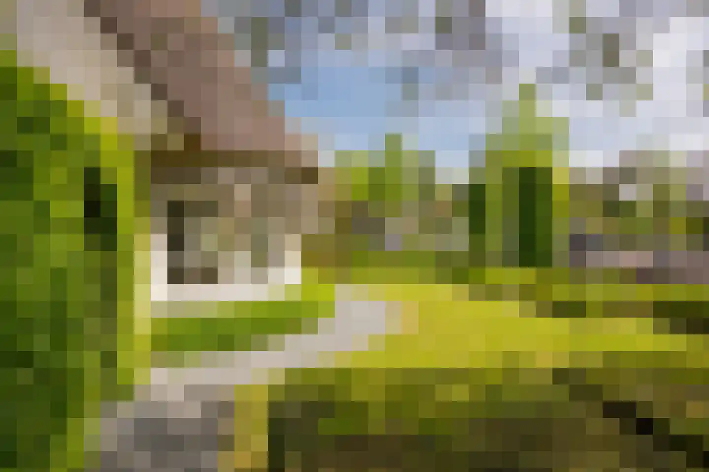 Coltoflaan 13 Nijkerk thumbnail 9