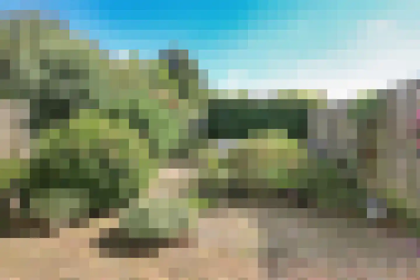 Columbiahof 1 Aalsmeer thumbnail 35
