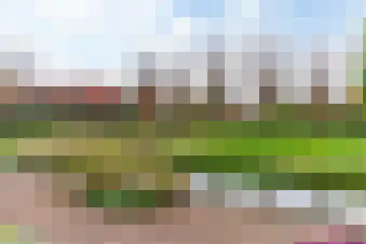 Columbiahof 12 Aalsmeer thumbnail 19
