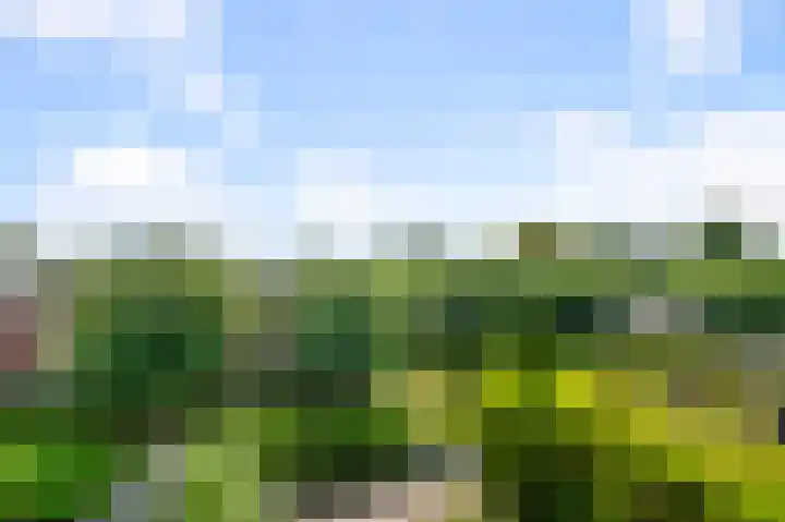 Columbiahof 24 Aalsmeer thumbnail 12
