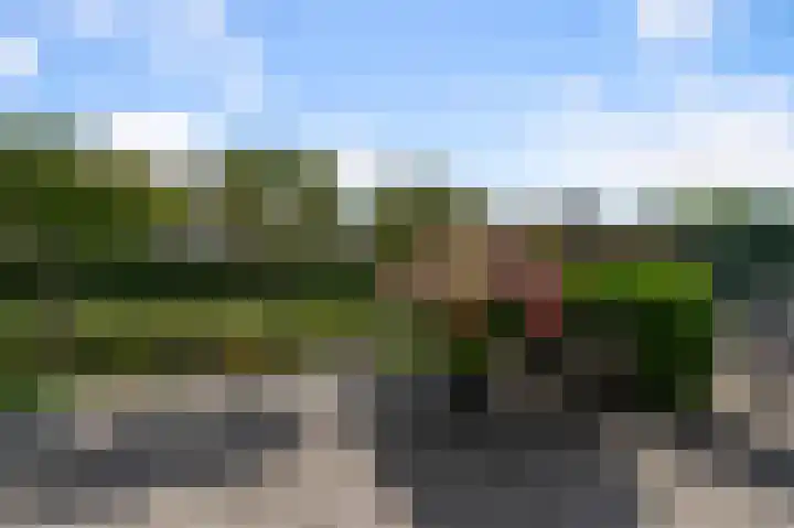 Columbiahof 24 Aalsmeer thumbnail 28